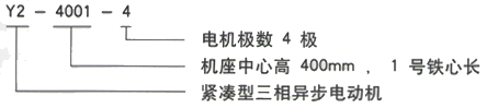 YR系列(H355-1000)高压YJTG-132S-4A/5.5KW三相异步电机西安西玛电机型号说明